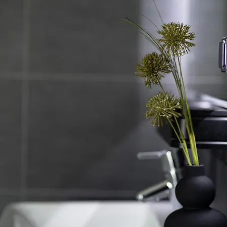 Blauer Stein 7a Wh05 - Penthouse 3 Sz, 8 Betten بولهايم